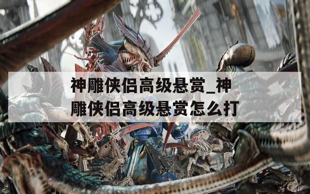 神雕侠侣高级悬赏_神雕侠侣高级悬赏怎么打