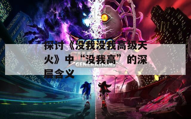探讨《没我没我高级天火》中“没我高”的深层含义